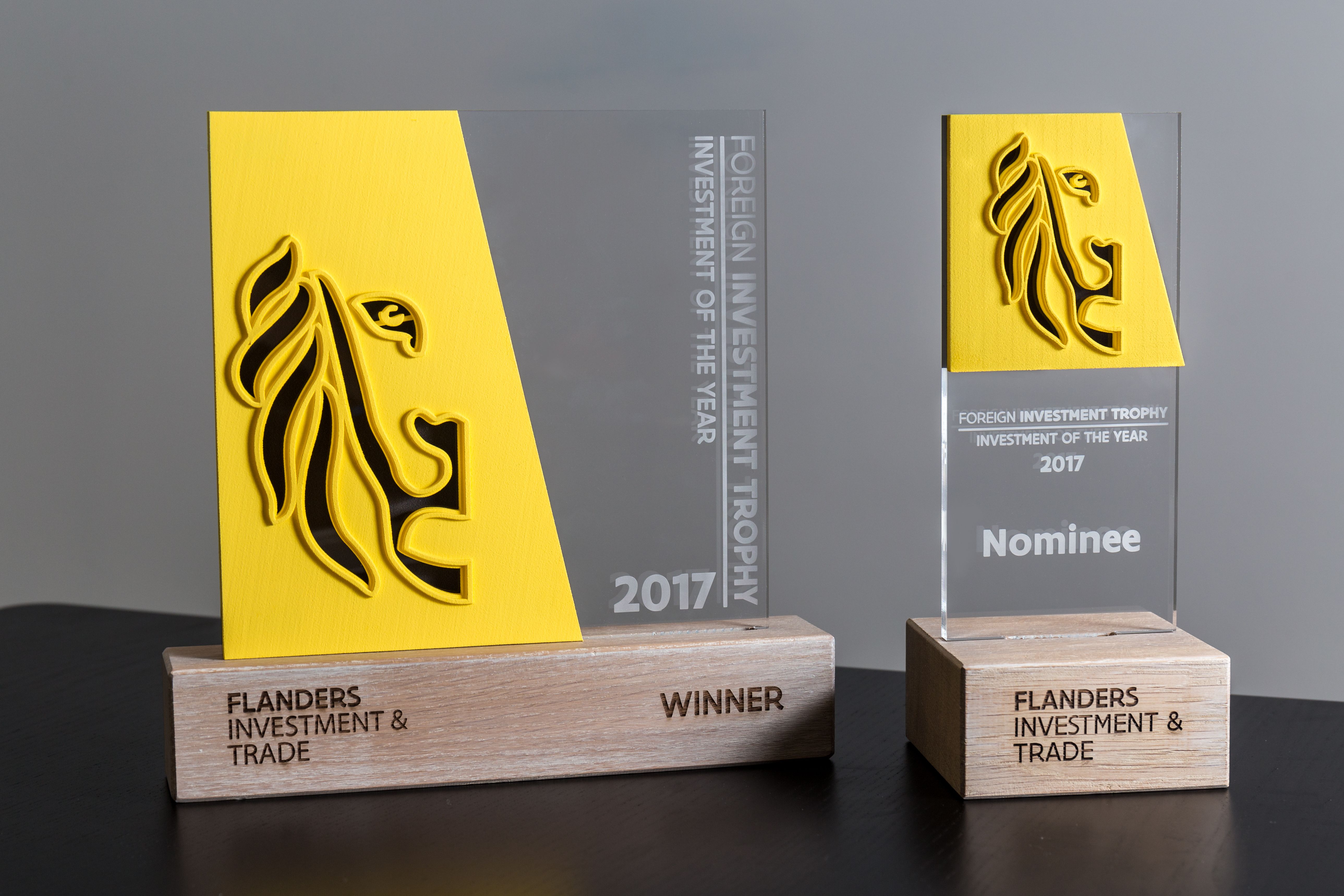 3D printed award