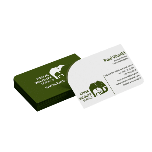 BUSINNESCARD DESIGNING (3)