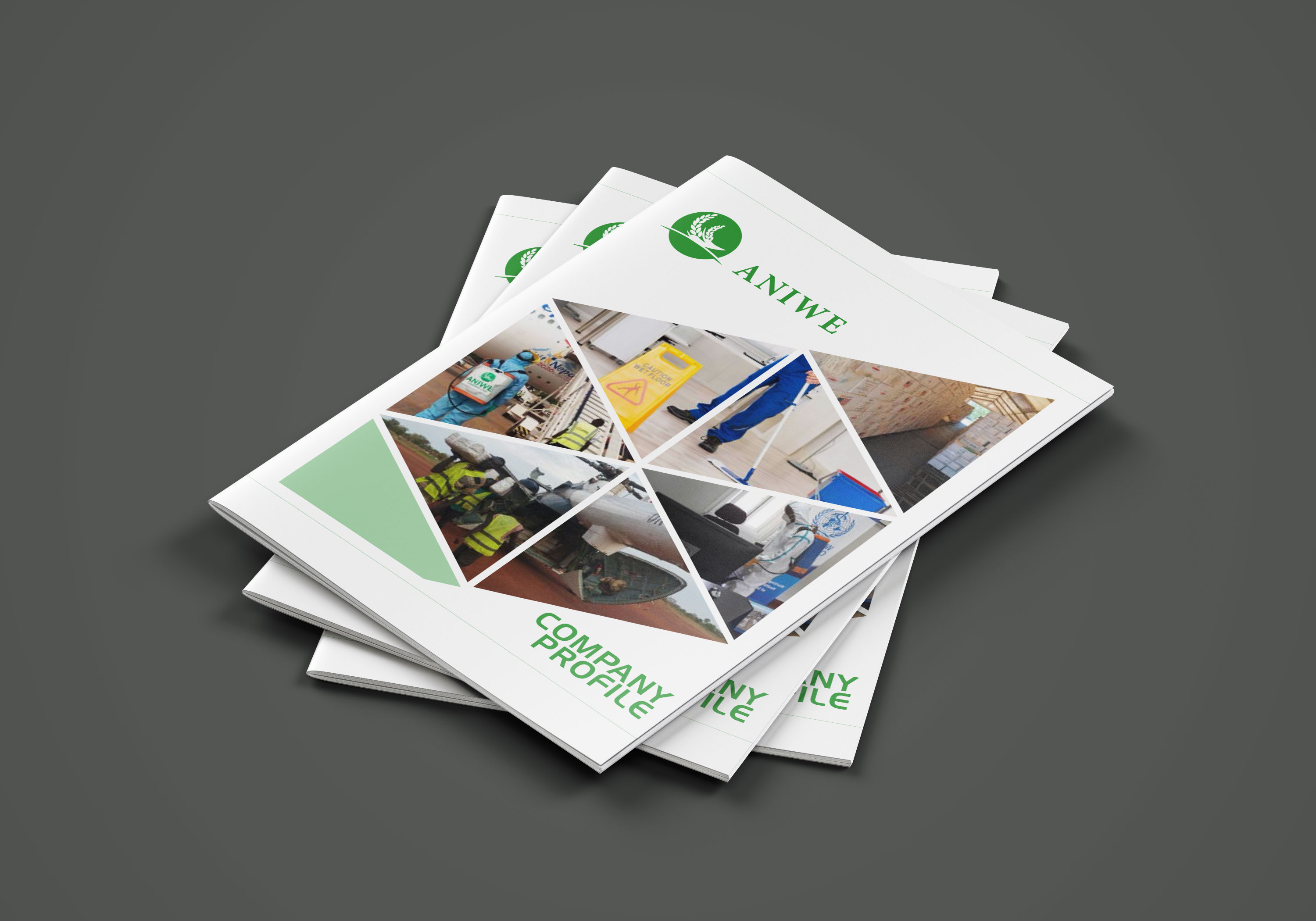 Company-profile Bib Visualz