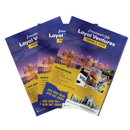 Travel Agency/Safaris Flyer