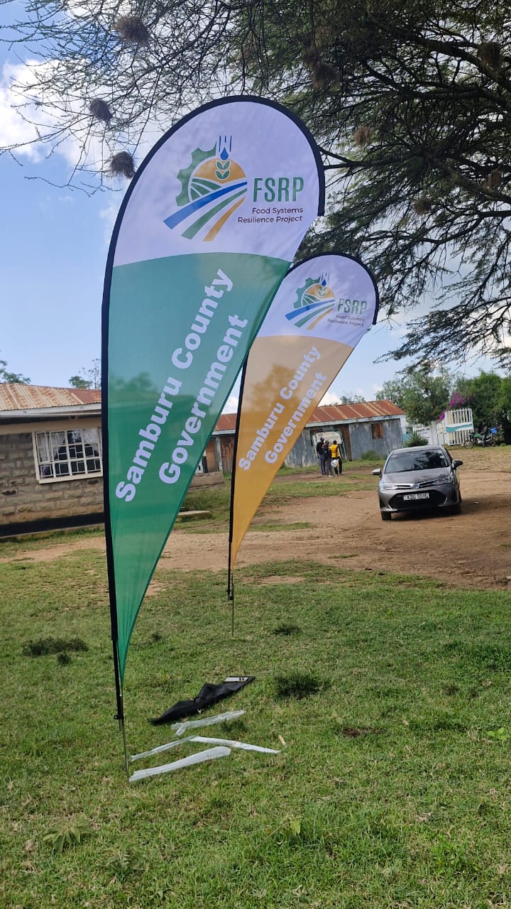 Teardrops printing S.31