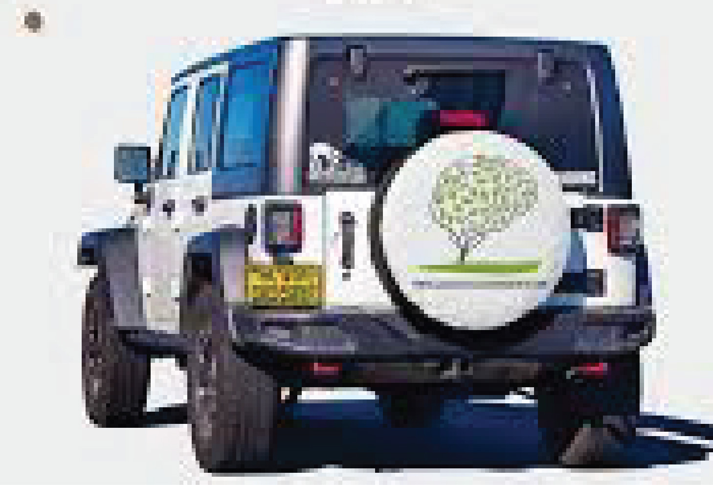 Branded Wheel Cover